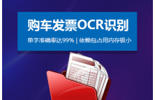购车发票OCR文字识别